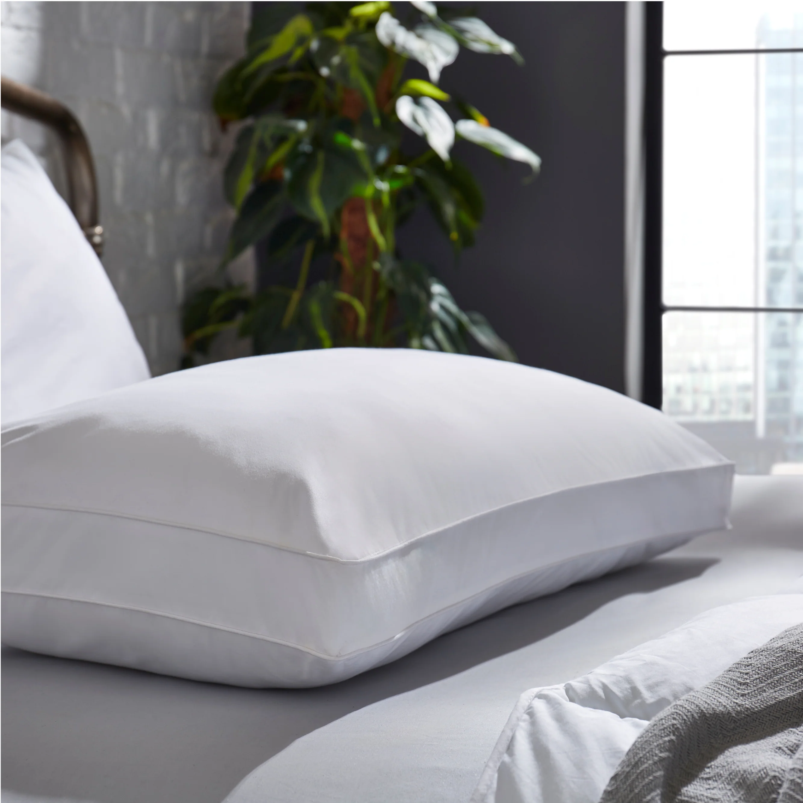 The Back Sleeper Pillow
